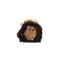Hazelnut Crunch Medjool Dates - Twin Pack