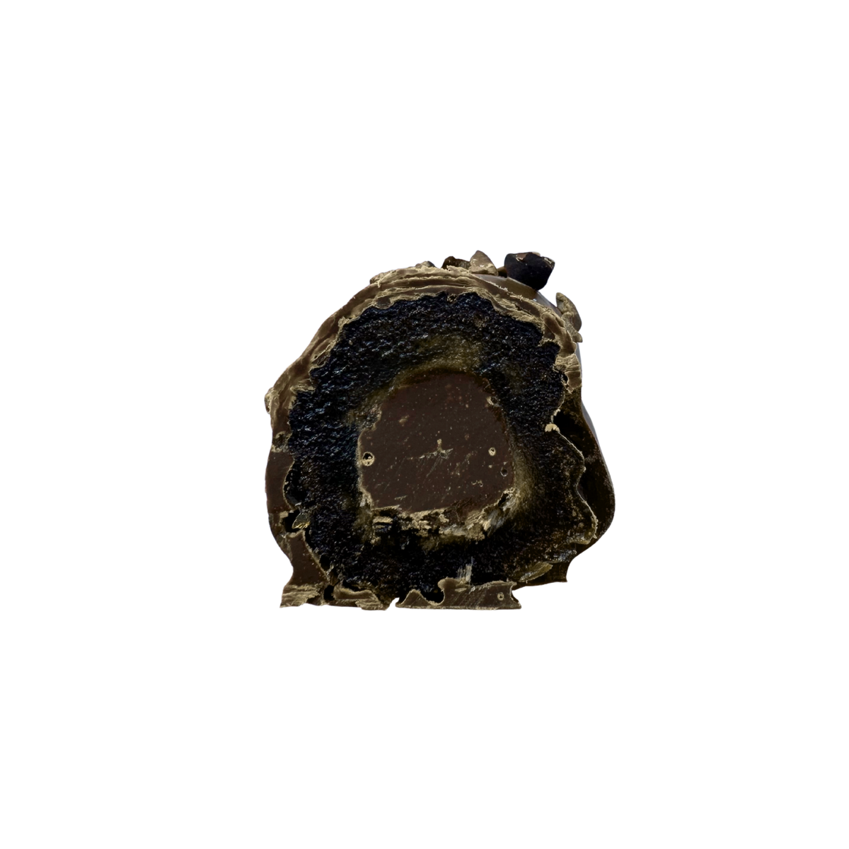Double Chocolate Medjool Dates - Twin Pack