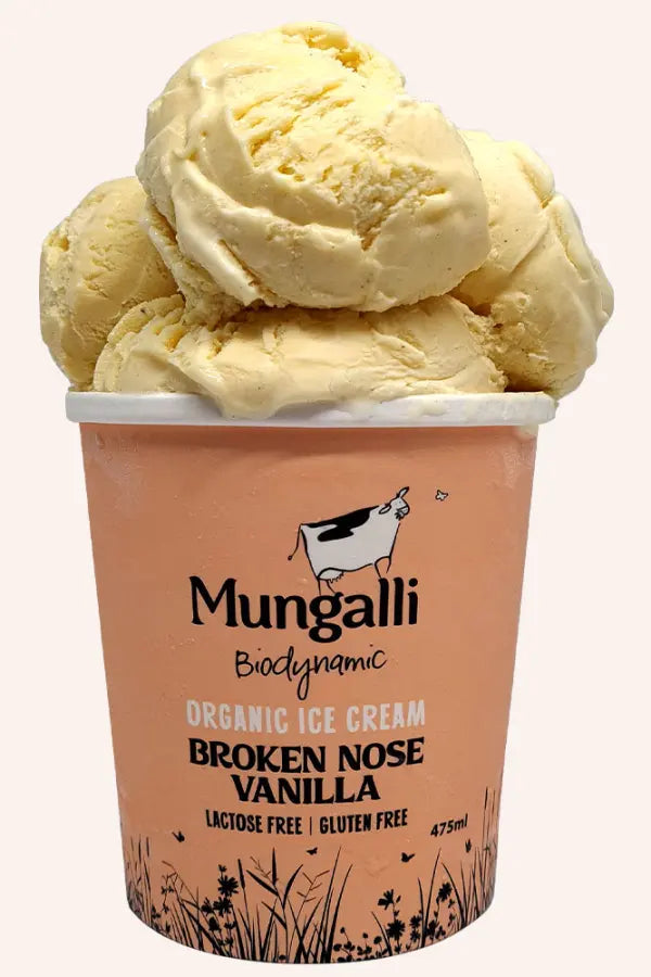 Organic Broken Nose Vanilla Ice Cream 1L