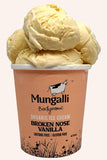 Organic Broken Nose Vanilla Ice Cream 1L
