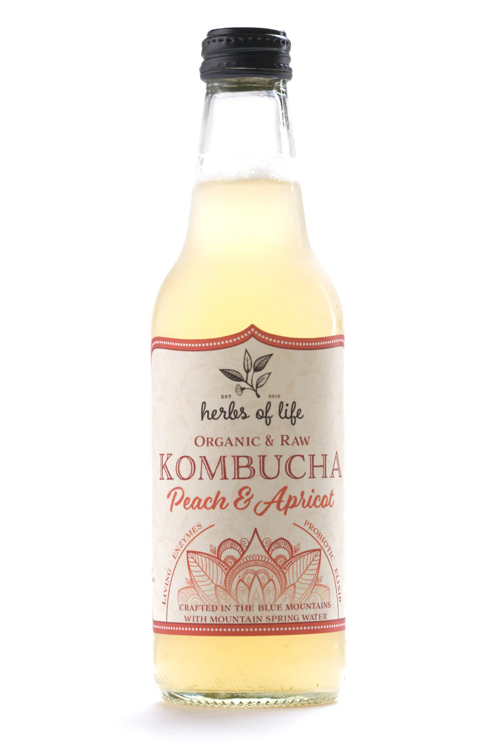 Organic & Raw Kombucha - Peach & Apricot
