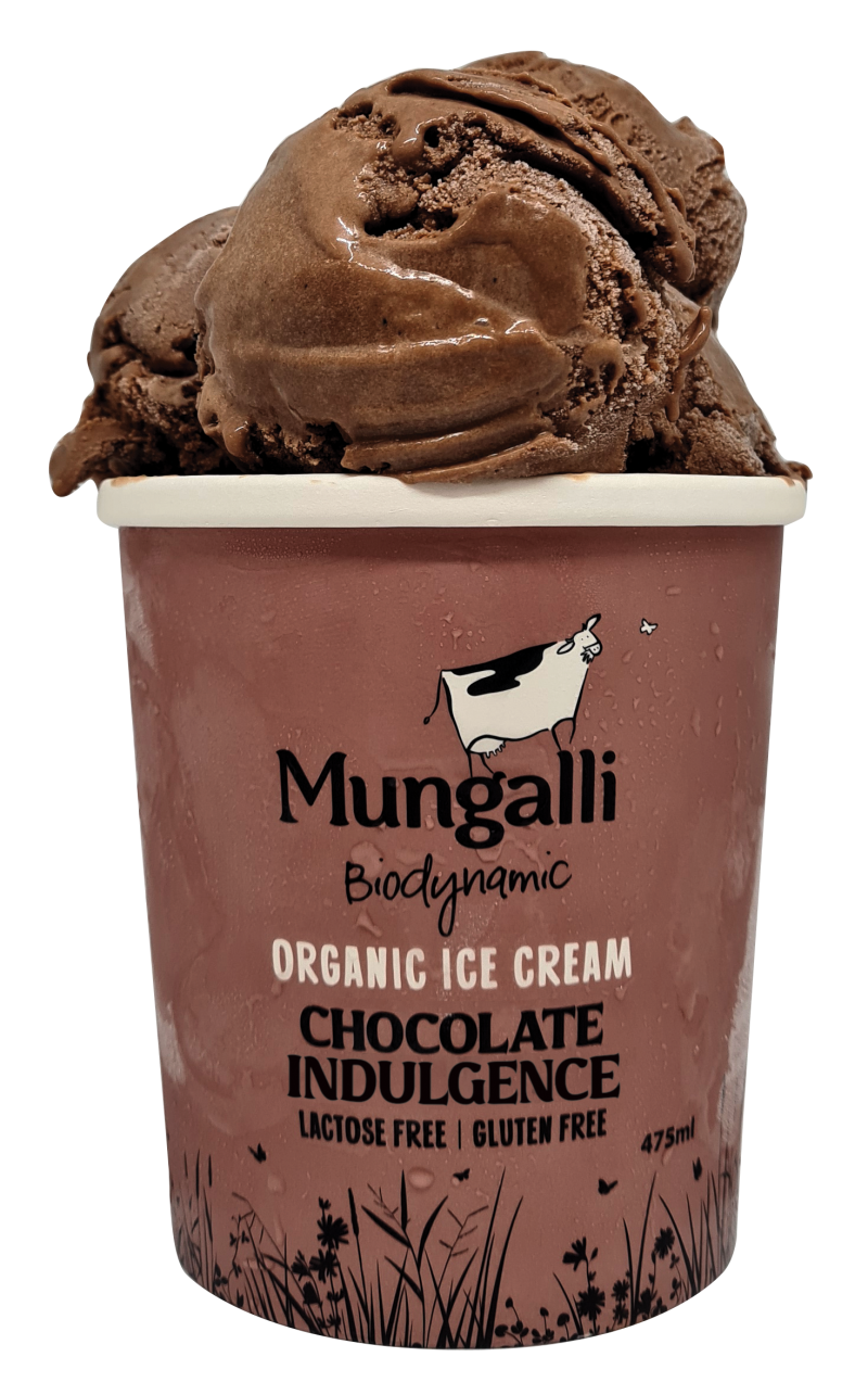 Organic Chocolate Indulgence Ice Cream 1L