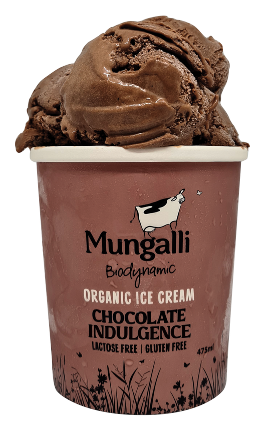 Organic Chocolate Indulgence Ice Cream 1L