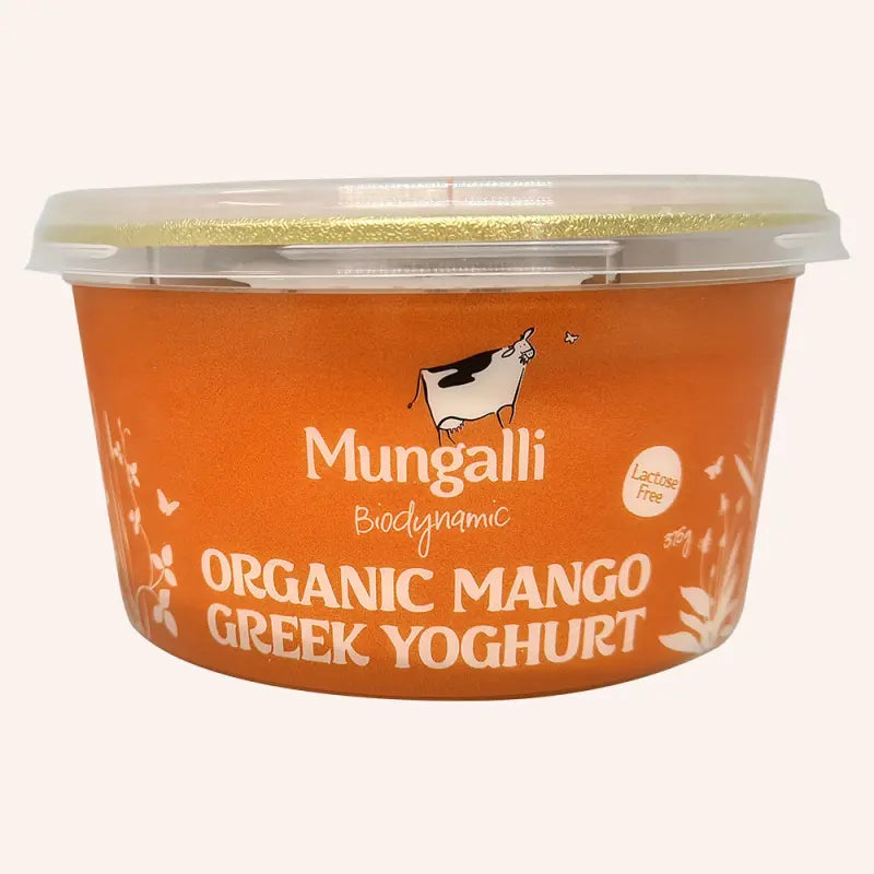 Mango Yogurt 500gm