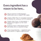 Lactation Bliss Balls Premix