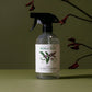 Peppermint Glass Cleaner 500ml